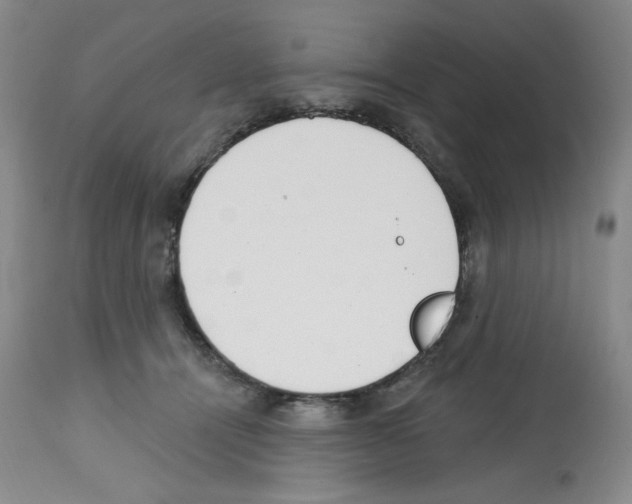 X0000112740464200910011225