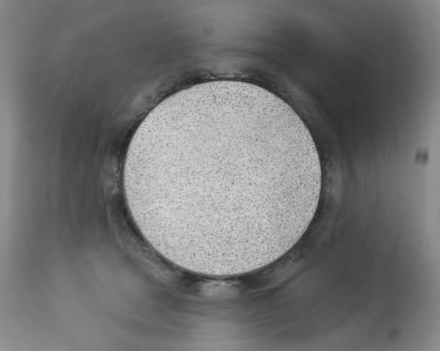 X0000112740465200910011225