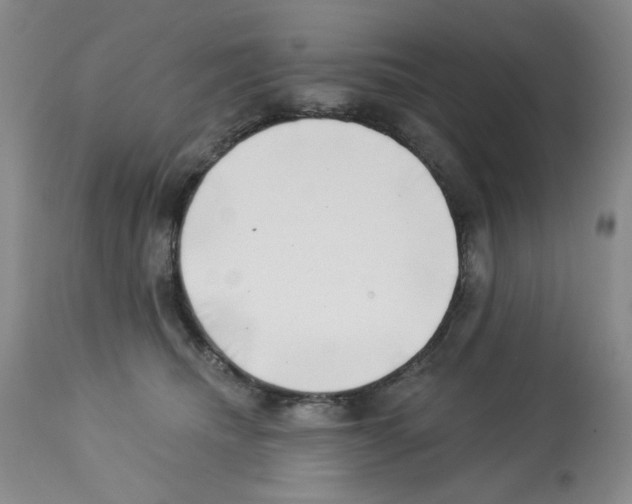 X0000112740468200910011225