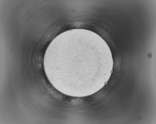 X0000112740470200910011225