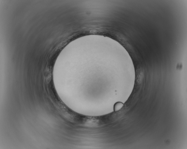 X0000112740471200910011225