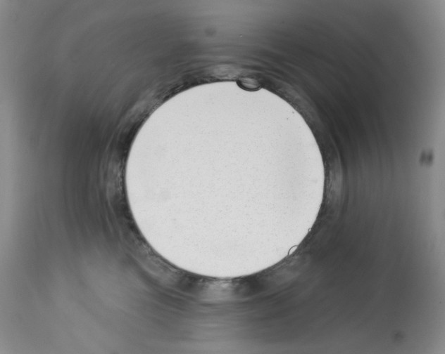 X0000112740473200910011225