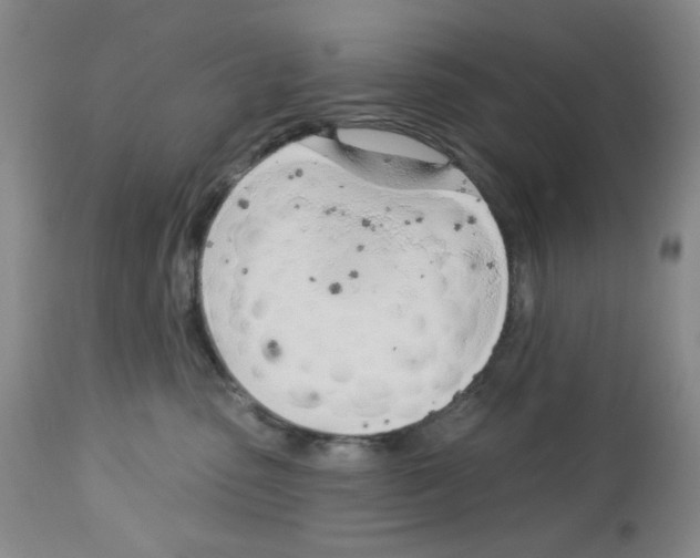 X0000112740475200910011225