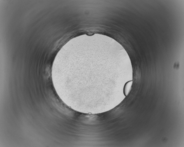 X0000112740478200910011225