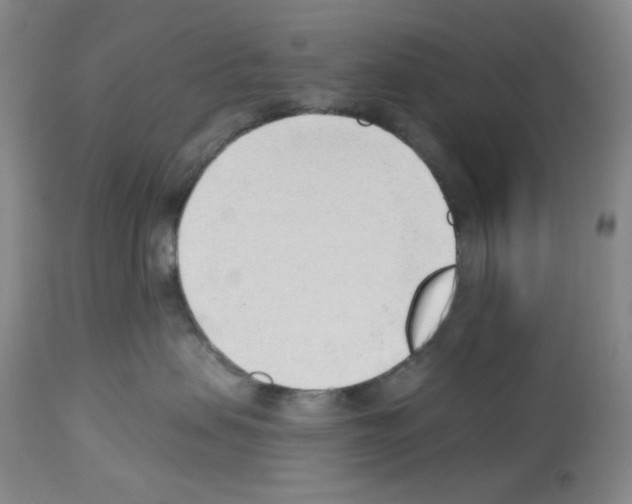 X0000112740479200910011225