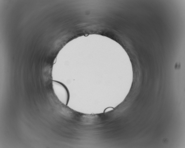 X0000112740480200910011225