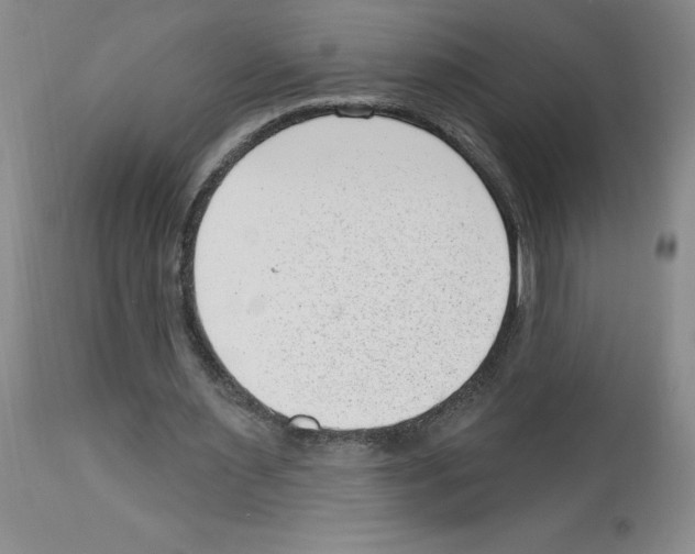 X0000112740483200910011224