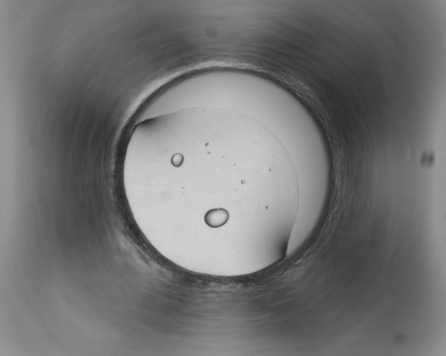 X0000112740484200910011224