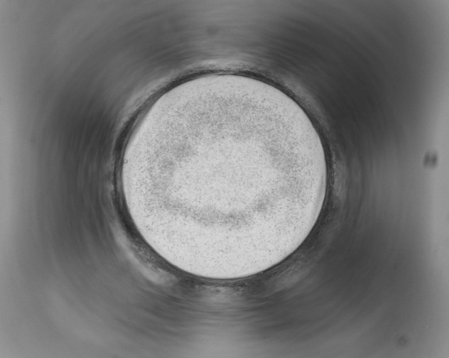 X0000112740486200910011224