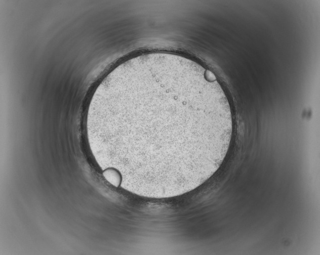 X0000112740487200910011224