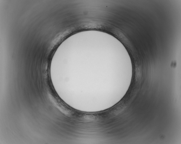 X0000112740490200910011224