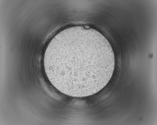 X0000112740491200910011224