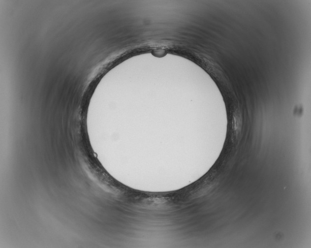 X0000112740492200910011224