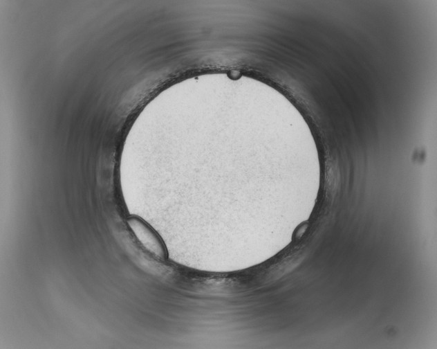 X0000112740493200910011224