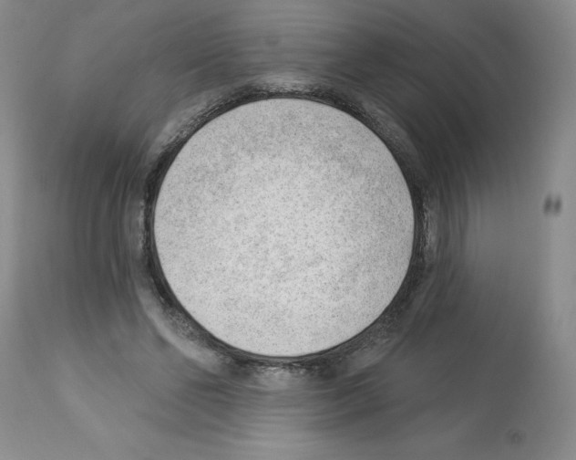 X0000112740494200910011224