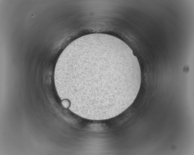 X0000112740499200910011224