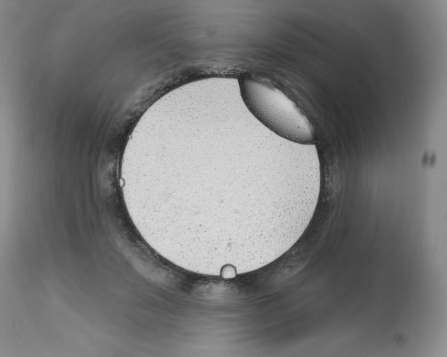 X0000112740503200910011224