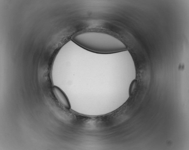 X0000112740504200910011224