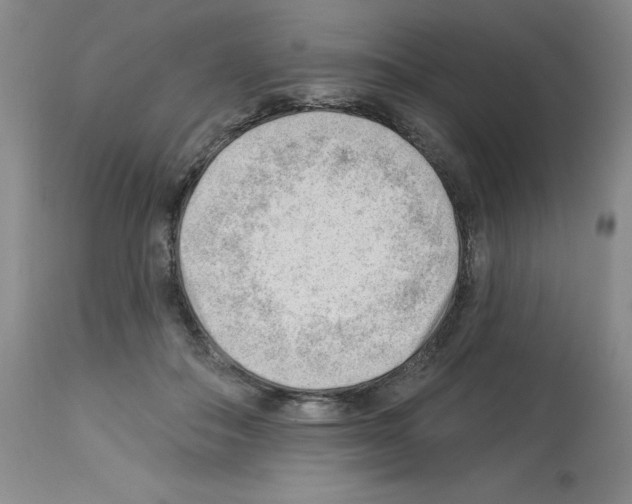 X0000112740506200910011224