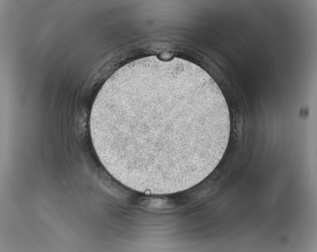 X0000112740507200910011224