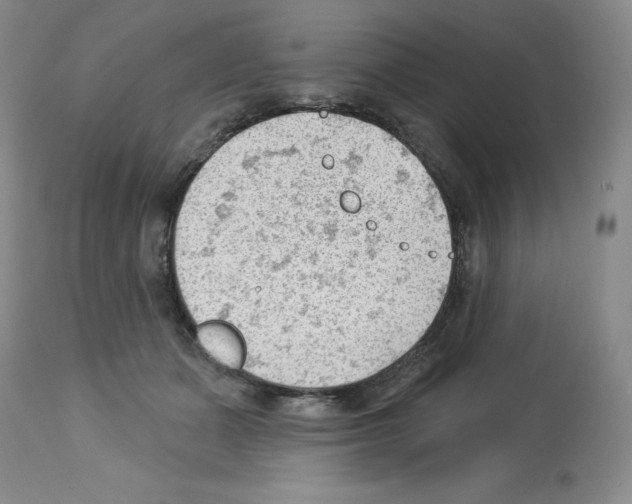 X0000112740511200910011224