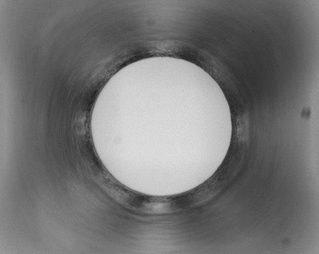 X0000112740514200910011224