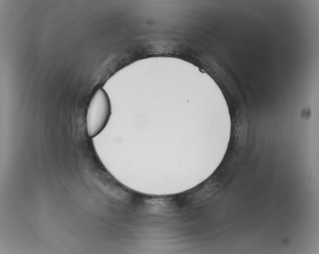 X0000112740516200910011224