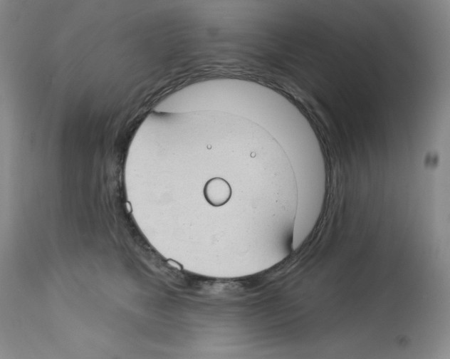 X0000112740517200910011224