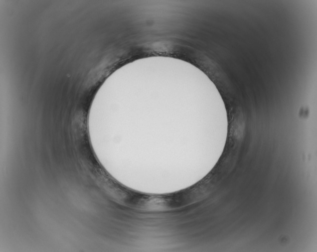 X0000112740518200910011224