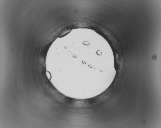 X0000112740521200910011224