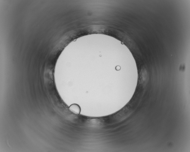 X0000112740522200910011224