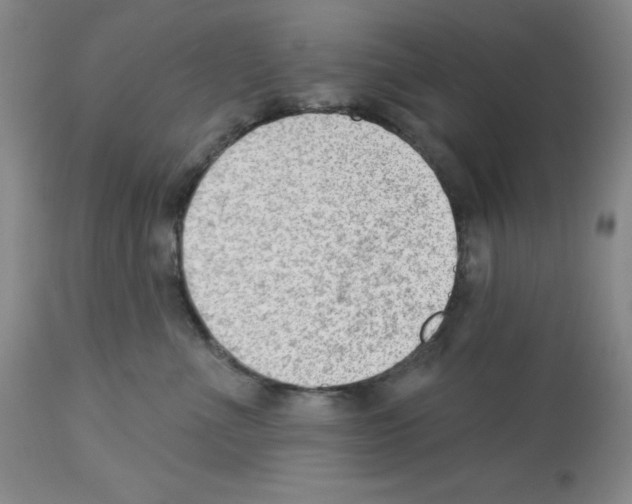 X0000112740523200910011224