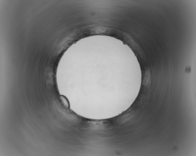 X0000112740524200910011224