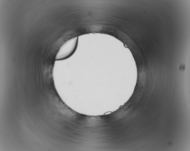 X0000112740525200910011224