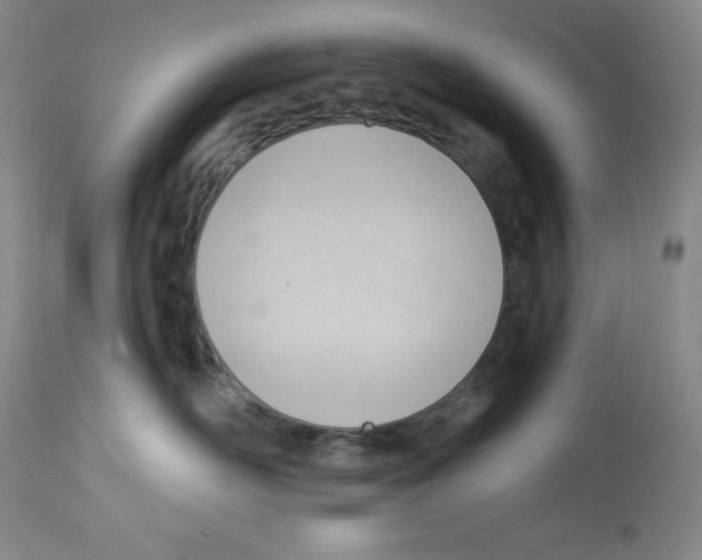 X0000112740526200910011224