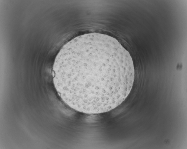 X0000112740527200910011224