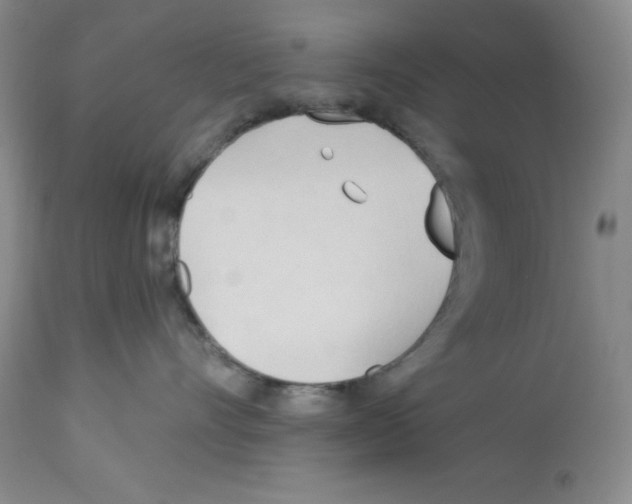 X0000112740528200910011223