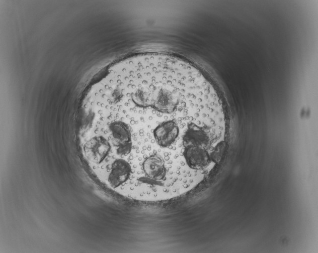 X0000112740529200910011223