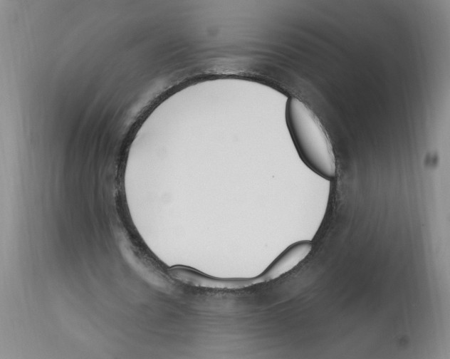 X0000112740530200910011223