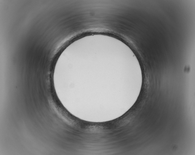 X0000112740535200910011223