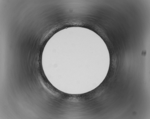 X0000112740538200910011223