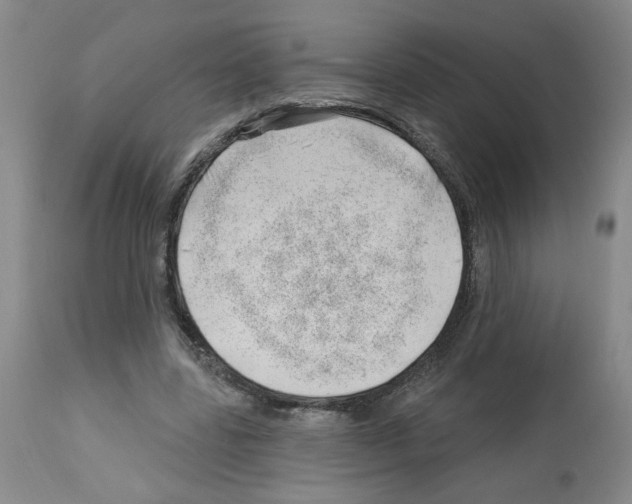 X0000112740539200910011223