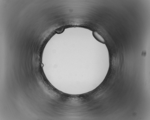 X0000112740540200910011223