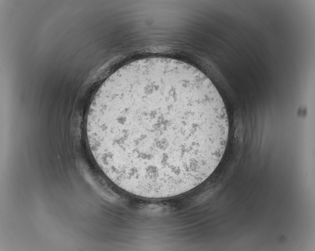 X0000112740542200910011223