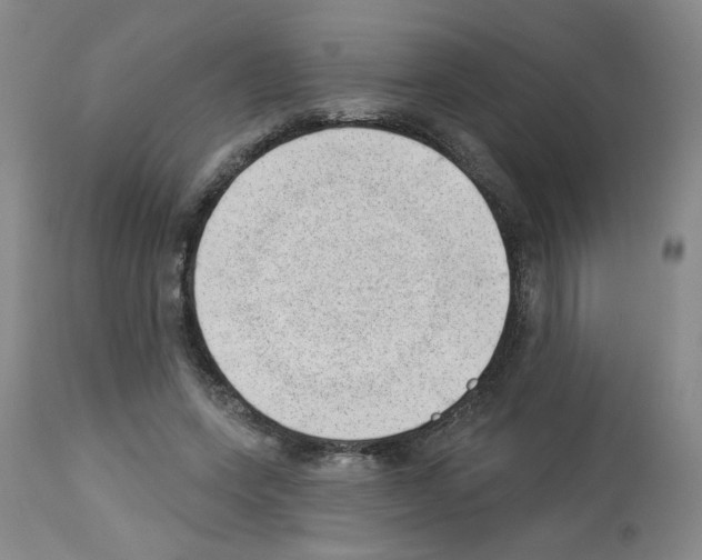 X0000112740543200910011223