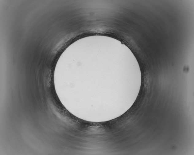 X0000112740544200910011223