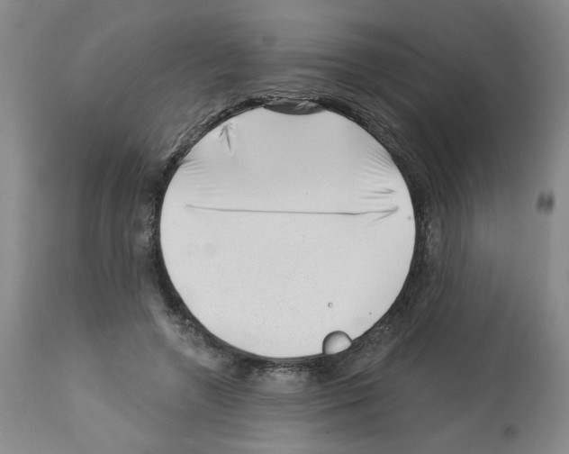 X0000112740546200910011223