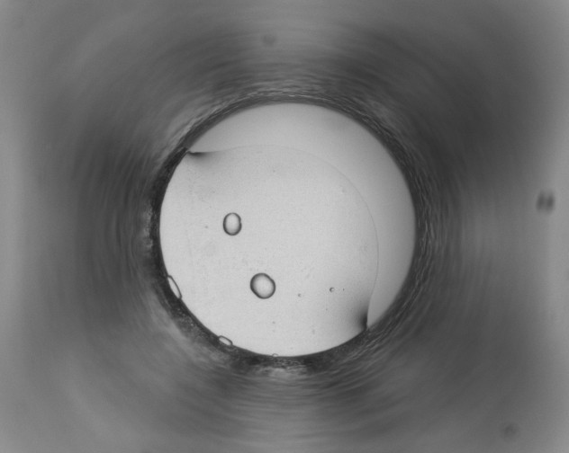 X0000112740548200910011223