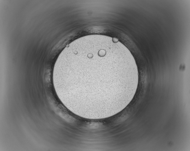 X0000112740549200910011223