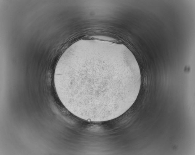 X0000112740551200910011223